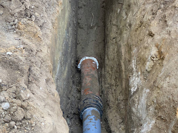 Best Professional water damage repair  in Oakwood Hls, IL