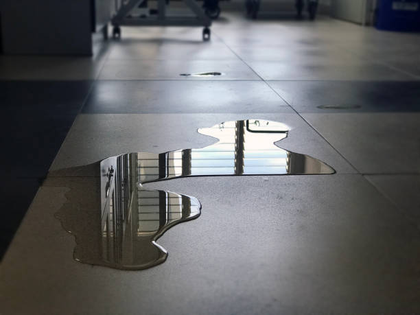 Best Local water damage restoration  in Oakwood Hls, IL