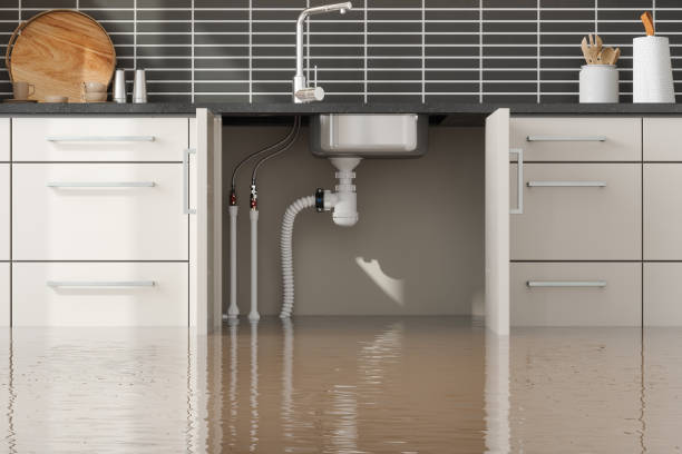 Best Mold removal after water damage  in Oakwood Hls, IL