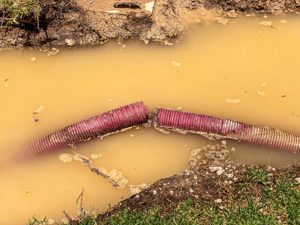  Oakwood Hls, IL Water damage restoration Pros