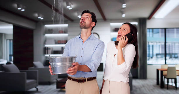 Best Ceiling water damage repair  in Oakwood Hls, IL
